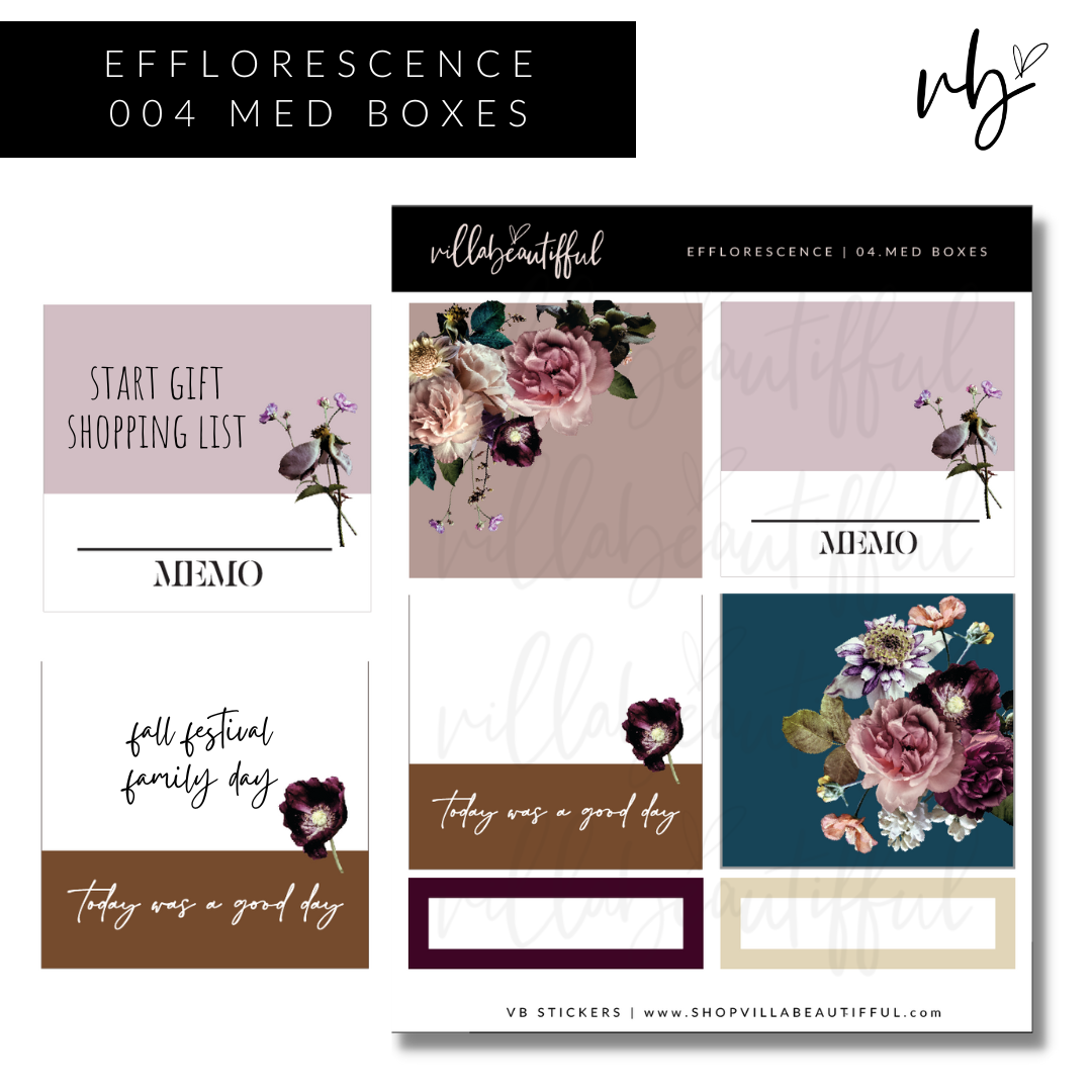 Efflorescence | 04 Med Boxes Sticker Sheet