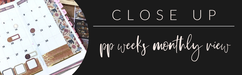 VB Close Up: PP Weeks Monthly View