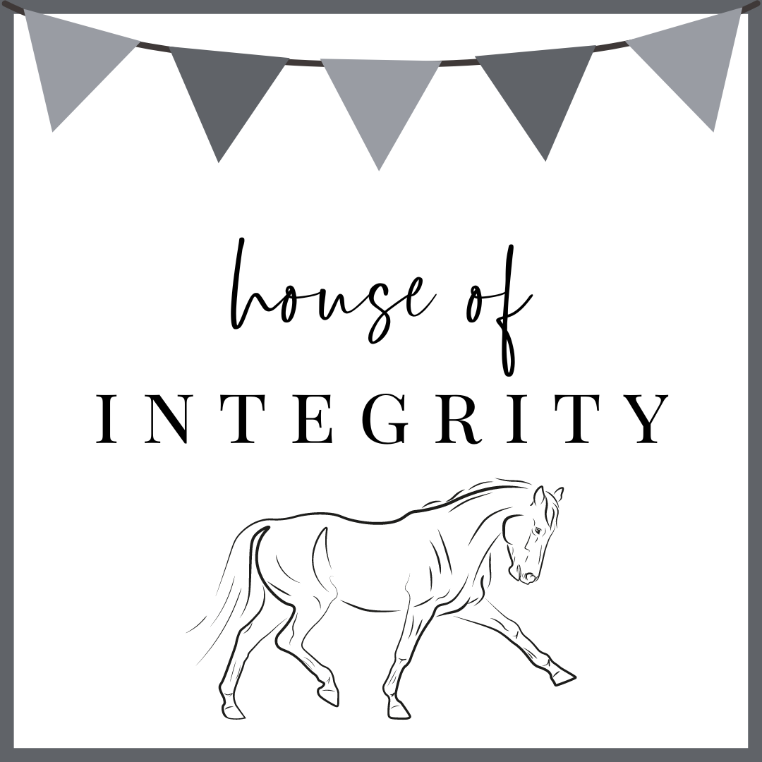 Integrity Crystal VBPen | limited pen